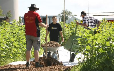 Festival 2011 – Freitag, 19.8.