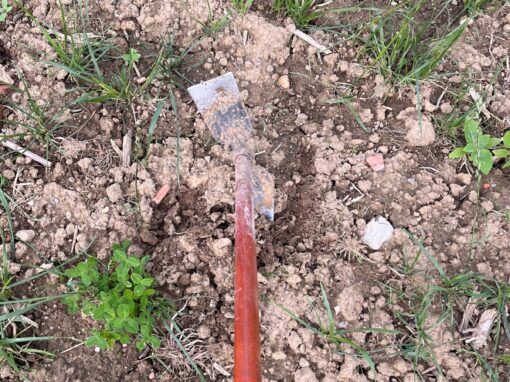 GOLDGELB 2024 – Aufbau Woche 5