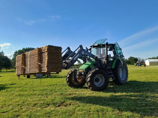 GOLDGELB 2024 – Aufbau Woche 4