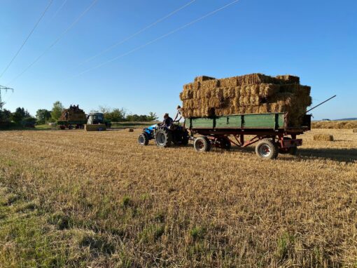 GOLDGELB 2024 – Aufbau – Strohballen pressen