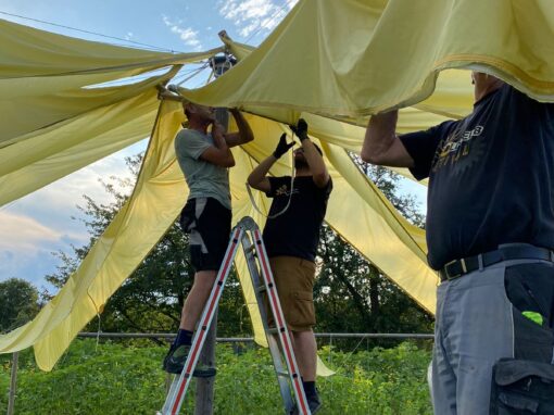 GOLDGELB 2024 – Aufbau – Woche 10