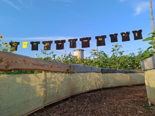 GOLDGELB 2024 – Aufbau – Woche 12