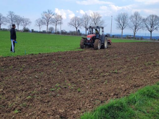 GOLDGELB 2026: Das Gelände wird abgesteckt und gefräst