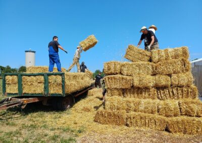 Holz und Strohballen – Aufbauwoche 7