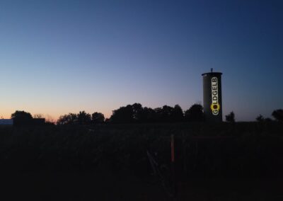GOLDGELB leuchtet !